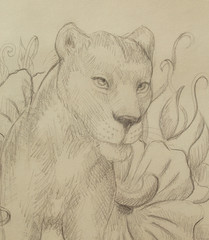Lioness with flower, pencil drawing. Profile portrait.