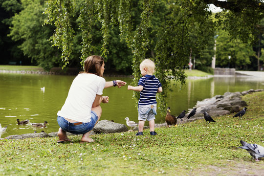Full length rear view of mother and son feeding birds at pond