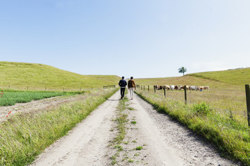 Men having coffee and cake on table at greenhouse