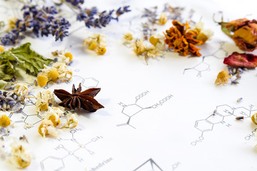 dried herbs on science sheet