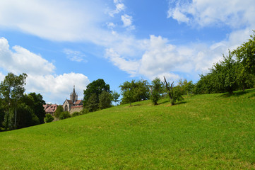 Fototapeta na wymiar Kloster Bebenhausen