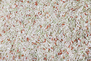 Brown rice, Sabah Borneo Malaysia