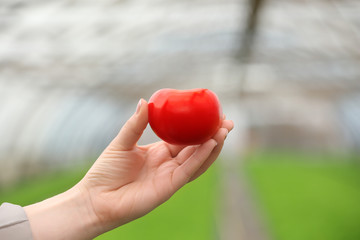 Female hand holding tomato on blurred background