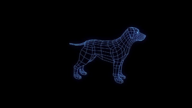 Dog in Hologram Wireframe Style. Nice 3D Rendering
