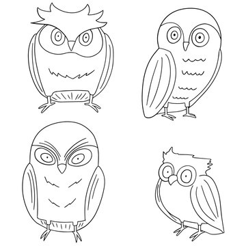 vector set of owls