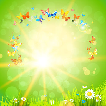 Eco summer background with flowers