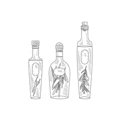 Olive Oil With Herbs Assortment Hand Drawn Realistic Sketch