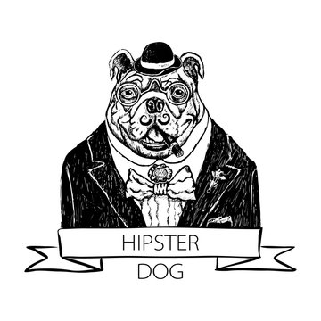 Vector illustration head ferocious bulldog mascot, on a white background vector