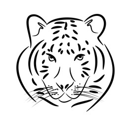 Tiger head illustration