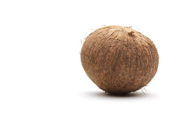 Kokosnuss geschlossen freigestellt vor weiss