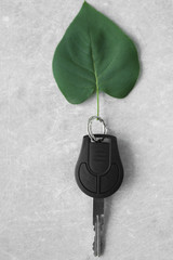 Car key with green leaf on table