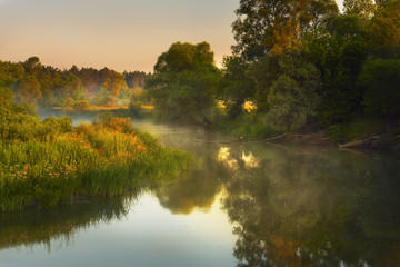 small quiet river at dawn, green overgrown coast meandering river, fog, mist over the water. In the background is the warm sunshine. On old snags and fallen trees bird stork. Summer morning   