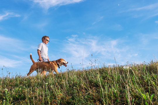 Boy with dog walk together on green hill