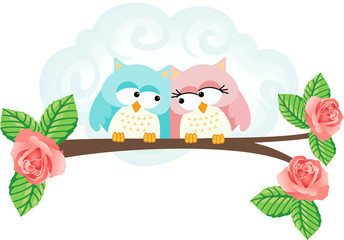 Couple in love owls on branch
