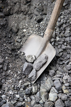 Old shovel in coal.