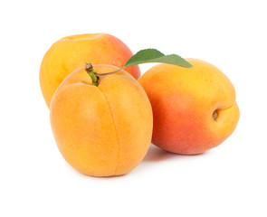 Three fresh apricot with leaf