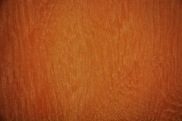 wood texture. background old panels