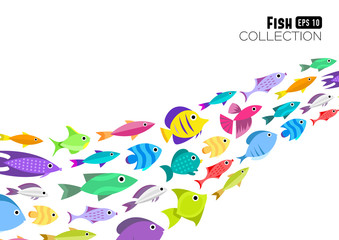 Cartoon fish collection background