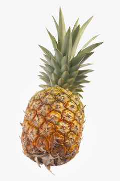 Pineapple. Tropical Fruit. Studio shoot.