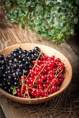 Redcurrant and blackcurrant in bowl.
