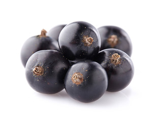 Blackcurrant in closeup