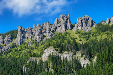Naklejka premium View of Tatra mountains from Chocholowska valley in the summer.