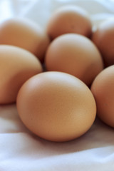 eggs, over light [blur and select focus background]