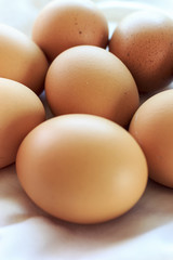 eggs, over light [blur and select focus background]