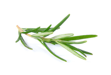 Fototapeta premium fresh rosemary isolated on white background