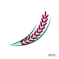 Rice,Riceberry,Vector illustration