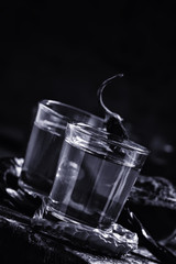 Vodka with pepper, black-and-white image, imitation of the old p