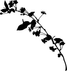 spring black small branch of cherry tree silhouette