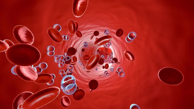 Animation of Oxygen molecules floating in the blood stream with Erythrocytes.	

