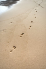 Fototapeta na wymiar pisadas humana sobre la arena de la playa