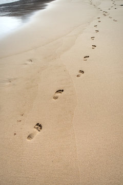 pisadas humana sobre la arena de la playa