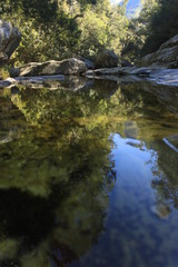 a reflection in a pond