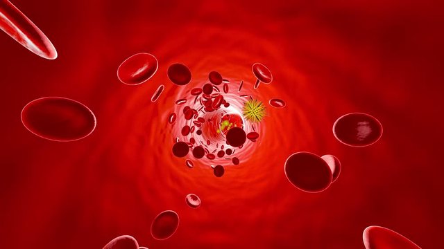 Animation of a generic Virus floating in the bloodstream.
