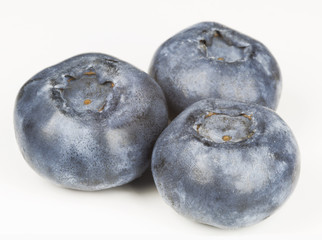three blueberries on white background