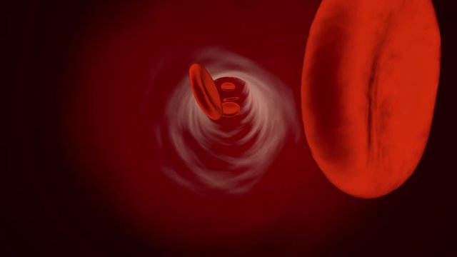 Flowing Erythrocyte Cells in a Vein or Artery.		
