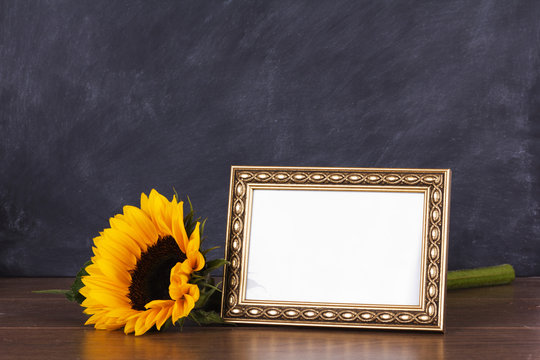 Picture frame and sunflower against a dirty blackboard backgroun