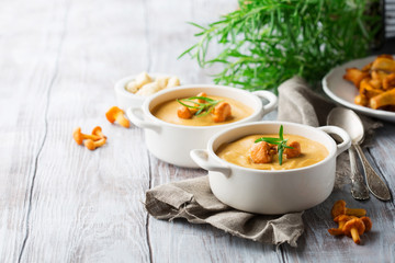 Soup with chanterelles and herbs, whitw wooden background - obrazy, fototapety, plakaty