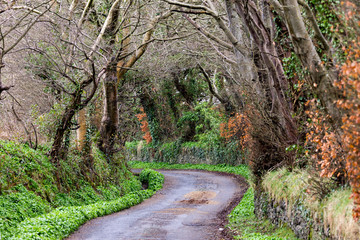 beautiful country lane in the Isle Of Man on a winters worning