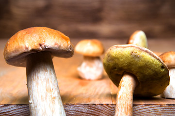 Mushrooms boletus on wooden table