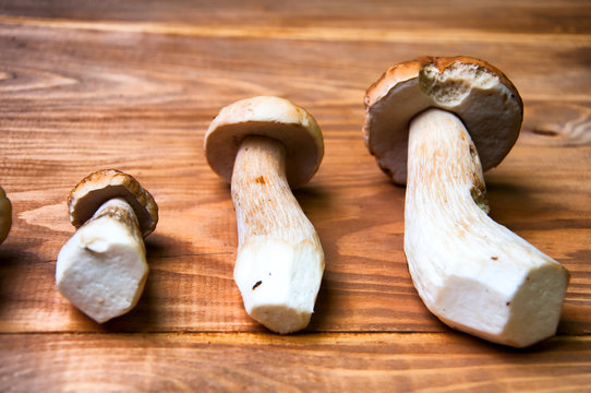 Mushrooms boletus on wooden table with copyspace