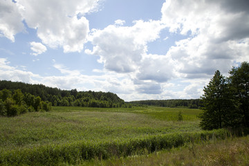 Fototapeta na wymiar rural landscape in the summer