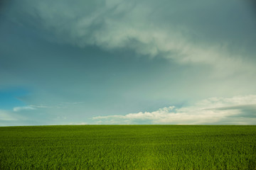 hill with green grass and blue sky