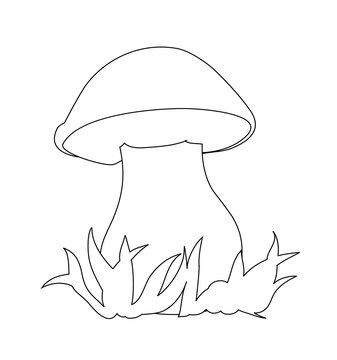 Image of porcini. Can be used for coloring book.