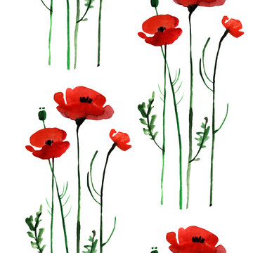 watercolor poppy, hand painted draw