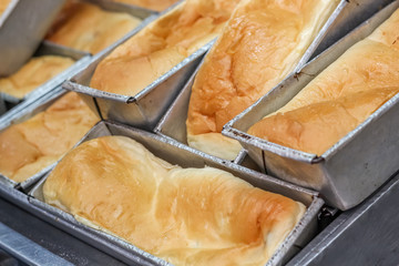 Close up various fresh baked buns/bread in market