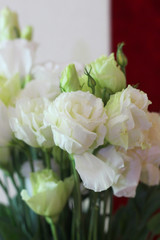 close up bouquet of white rose and other flower